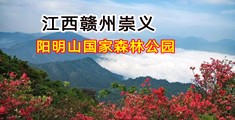 操屄网站大全